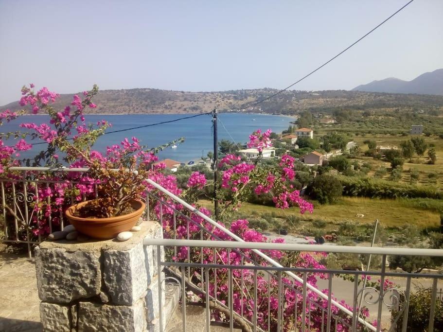 Appartement Kamares View à Ageranos Extérieur photo